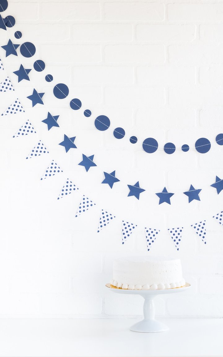 Blueberry Mini Banner Set