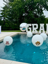 Custom Logo Pool Balloon