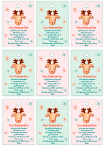 Magic Reindeer Food Printable