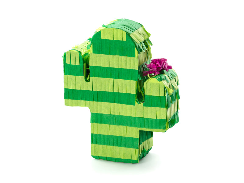 succulent pinata Cactus Piñata – Party Hop Shop