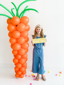DIY Carrot Balloon Column