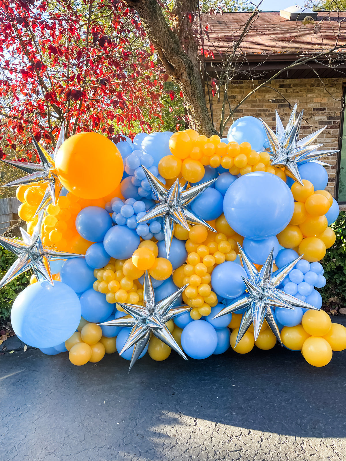 Balloon Wall