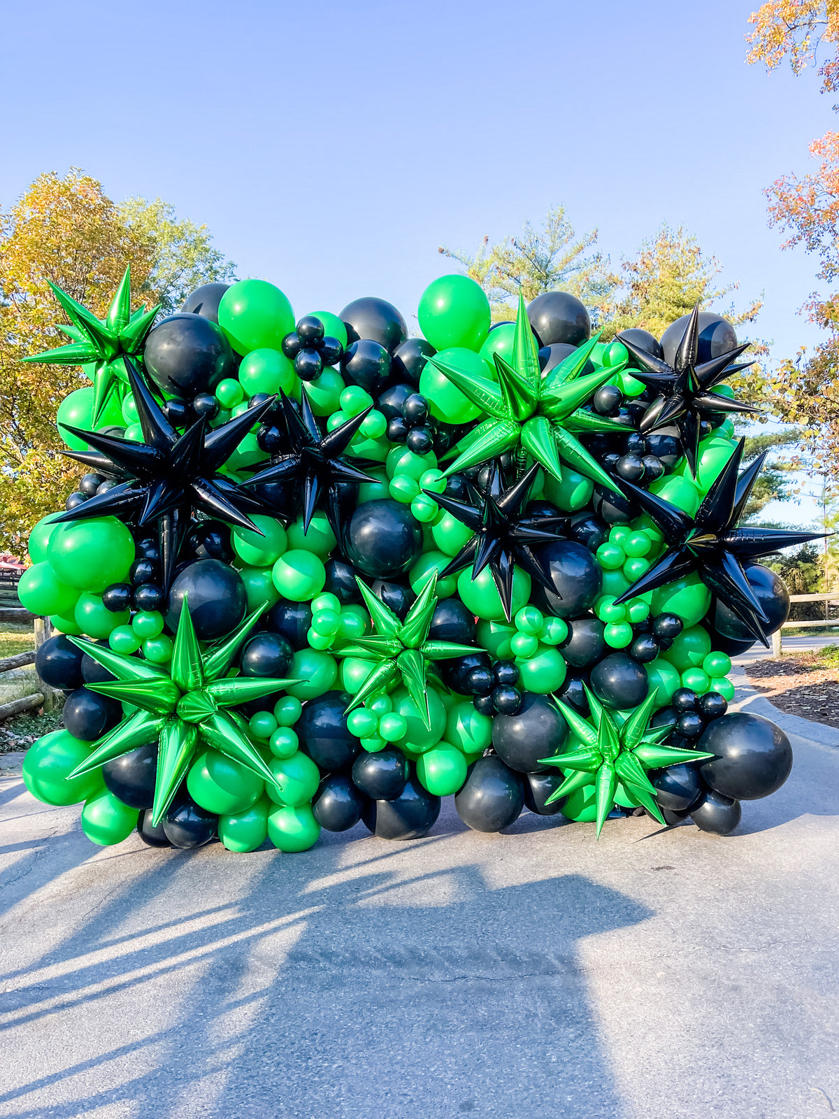 Balloon Wall